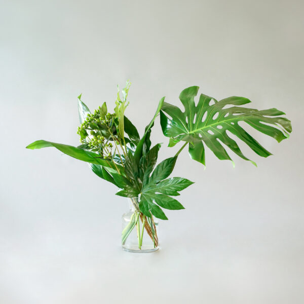 Hojas tropicales