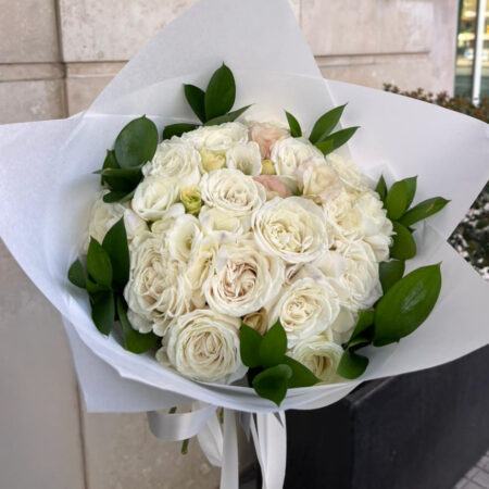 Rosa blanca 20