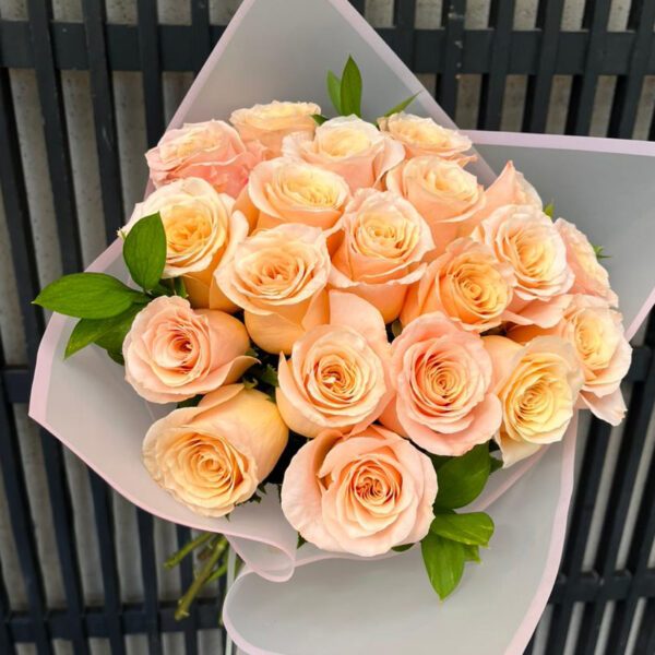 Rosa damasco 20