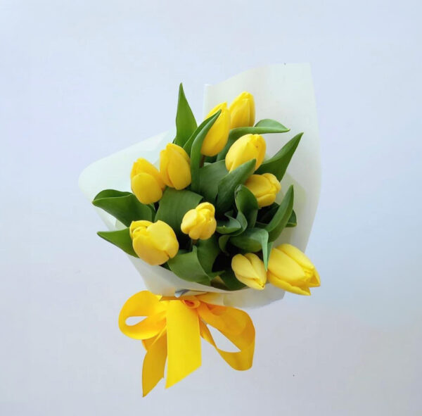 Tulipán 10